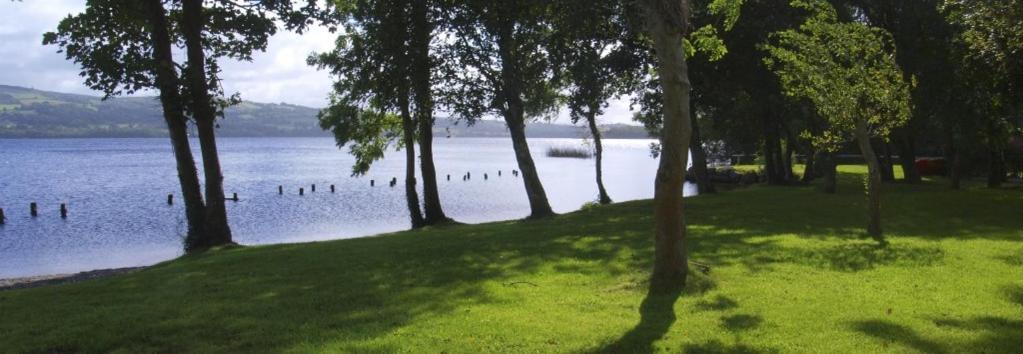 Lakeside Cottage Killaloe Buitenkant foto