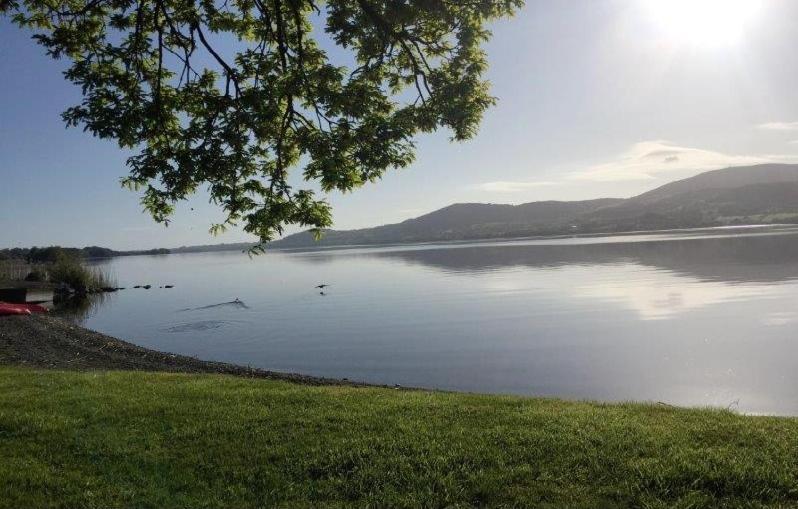Lakeside Cottage Killaloe Buitenkant foto